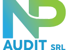 NP Audit